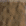 Дуб 2