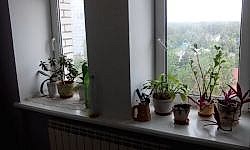 Пластиковые окна в Астана.jpg